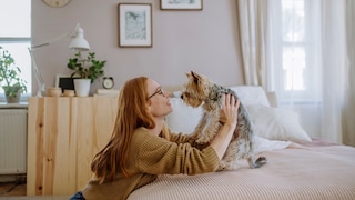 Lächelnde Frau, die einen Yorkshire-Terrier hält, der auf dem Bett sitzt