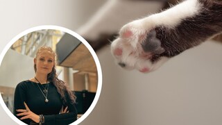 Collage aus Katzenpfote und Porträtbild Saskia Schneider (Kreis)
