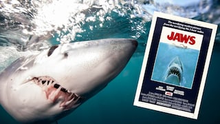 Collage aus Mako-Hai unterwasser und Filmplakat von „Jaws“