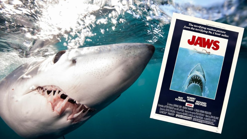 Collage aus Mako-Hai unterwasser und Filmplakat von „Jaws“