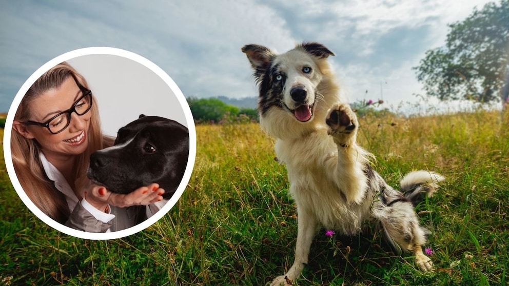 Collage aus Hund, der die Pfote hebt und Porträt von Hundetrainerin Katharina Marioth (Kreis)