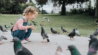 Kleines Mädchen interagiert mit Tauben im Stadtpark