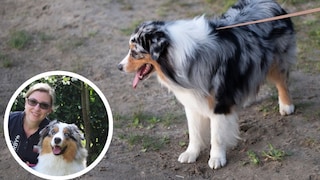 Collage aus Australian Shepherd an Leine und PETBOOK-Autorin Manuela Lieflaender (Kreis)