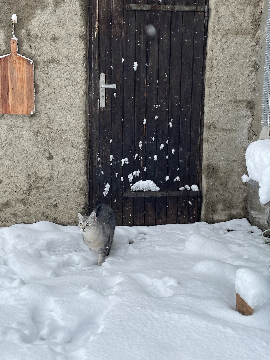 Even snow in front of the hut doesn't stop Emil from taking a stroll