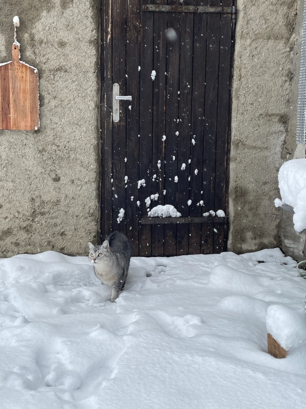 Auch Schnee vor der H&uuml;tte h&auml;lt Emil nicht von einem Streifgang ab