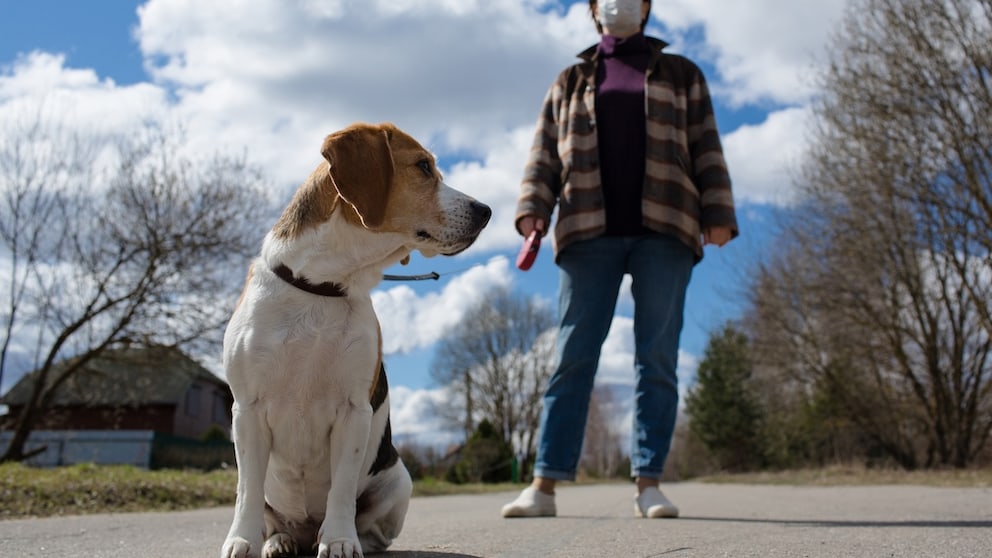 Frau mit Hund beim Spaziergang