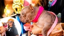 Petunia hat am Wochenende in Santa Rosa einen ganz besonderen Sch&ouml;nheitswettbewerb gewonnen