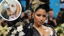 Bei der Nicki-Minaj-Challenge gab es bereits mehrere verletzte Teilnehmerinnen. Nun scheint dieser fragw&uuml;rdige Trend auch viele Tierhalter zum Nachmachen anzuregen.