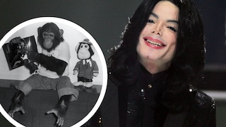 Michael Jacksons Affe 
Bubbles gehört lange zu den bekanntesten Haustieren der Welt