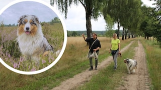 PETBKKO-Autorin Manuela Lieflaender beim Wandern durch die Lüneburger Heide mit Hund Elvis