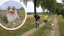PETBKKO-Autorin Manuela Lieflaender beim Wandern durch die L&uuml;neburger Heide mit Hund Elvis