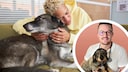 Angsthund beim Tierarzt mit Experten