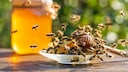 Honigbienen st&uuml;rzen sich auf offenen Honig