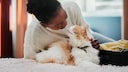 Eine gute Katzensitterin interagiert mit einer Katze