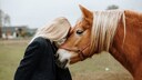 Frau und Haflinger vertraut