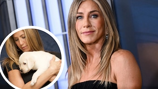 Jennifer Aniston mit Labrador Welpen auf dem Arm