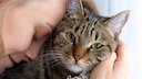 Katze und Frau kuscheln