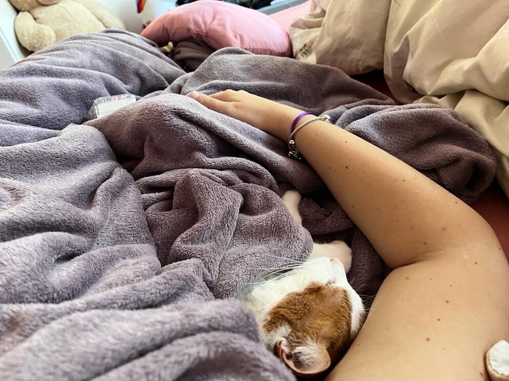 Remo sleeps in the arms of PETBOOK editor Louisa Stoeffler