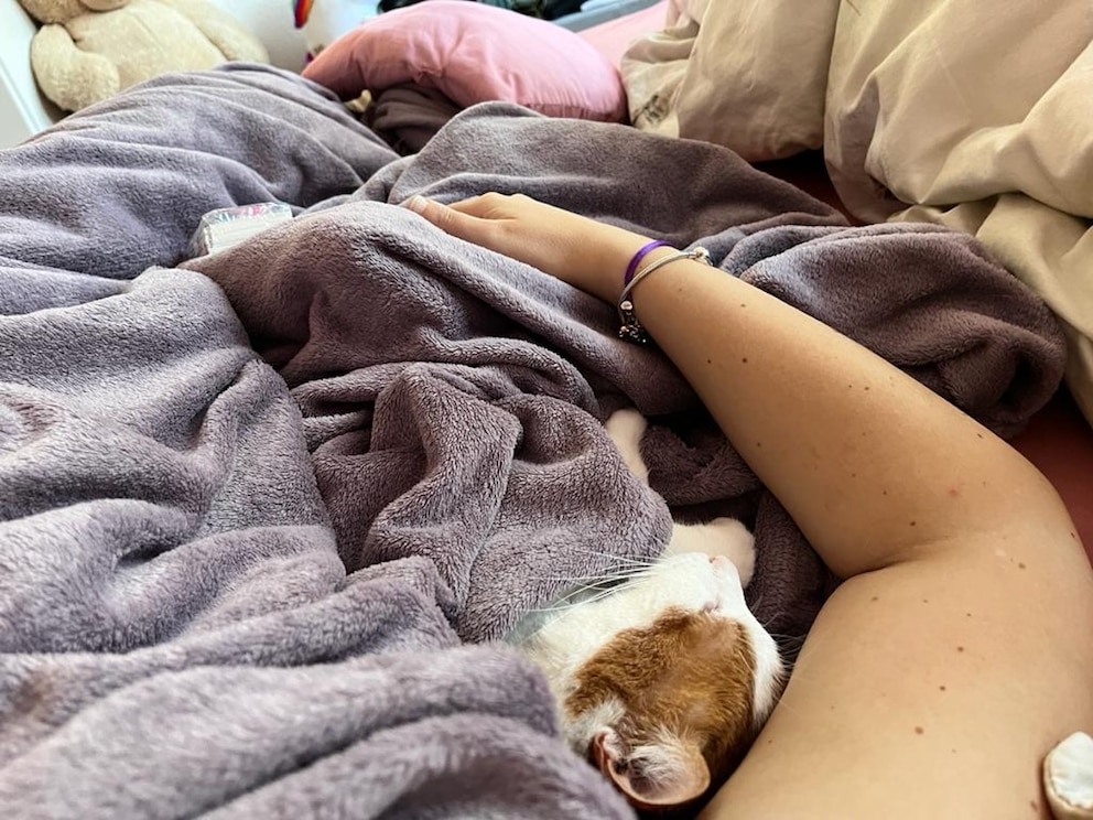 Remo schl&auml;ft im Arm von PETBOOK-Redakteurin Louisa Stoeffler