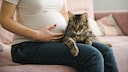 Schwangere Frau sitzt auf einem Sofa mit einer Katze auf ihrem Scho&szlig;