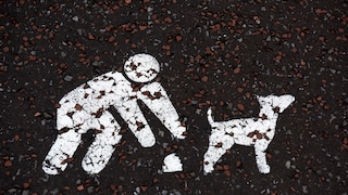Weißes Hundekot-Zeichen