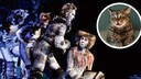 Auff&uuml;hrung vom Musical &bdquo;Cats&ldquo; und Katze, die geschockt schaut (Kreis)