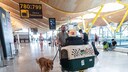 Am Flughafen Madrid: Ein Passagier checkt mit seinem Golden Retriever und Transportbox ein &ndash; nach dem EuGH-Urteil gilt ein Hund im Frachtraum offiziell als Gep&auml;ck