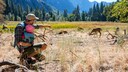 Ein Vater und seine kleine Tochter schauen sich im Yosemite National Park Tiere an
