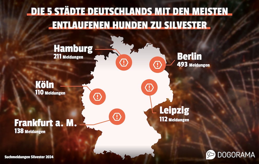 &Uuml;bersicht der Top-5-St&auml;dte, an denen zu Silvester die meisten Hunde verloren gehen