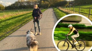 Collage aus Manuela Lieflaender mit Rüde Elvis beim Gassi und E-Bike-Fahrerin (Kreis)