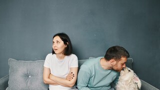 Partner eifersüchtig auf Hund