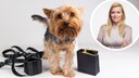 Zum Cyber Monday gibt es tolle Deals f&uuml;r Hundhalter. PETBOOK-Redakteurin Louisa Stoeffler hat die besten Angebote zusammengestellt.
