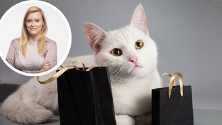 Katze sitzt mit Black-Friday-Tüten da; Porträt Louisa Stoeffler (Kreis)