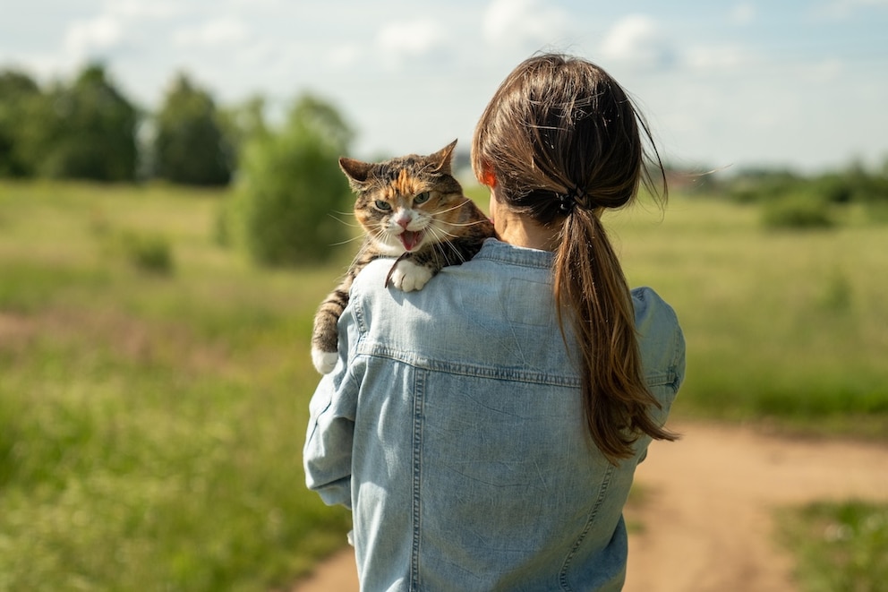 Frau hat Katze nach dem Gassi auf dem Arm