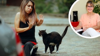 Frau will nicht von Katze berührt werden, Collage mit Psychologin Sandra Jankowski