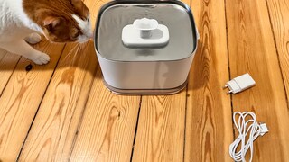 Remo mit dem Petlibro Dockstream 2