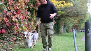 Hundetrainer André Vogt mit Rüde Elvis beim Training