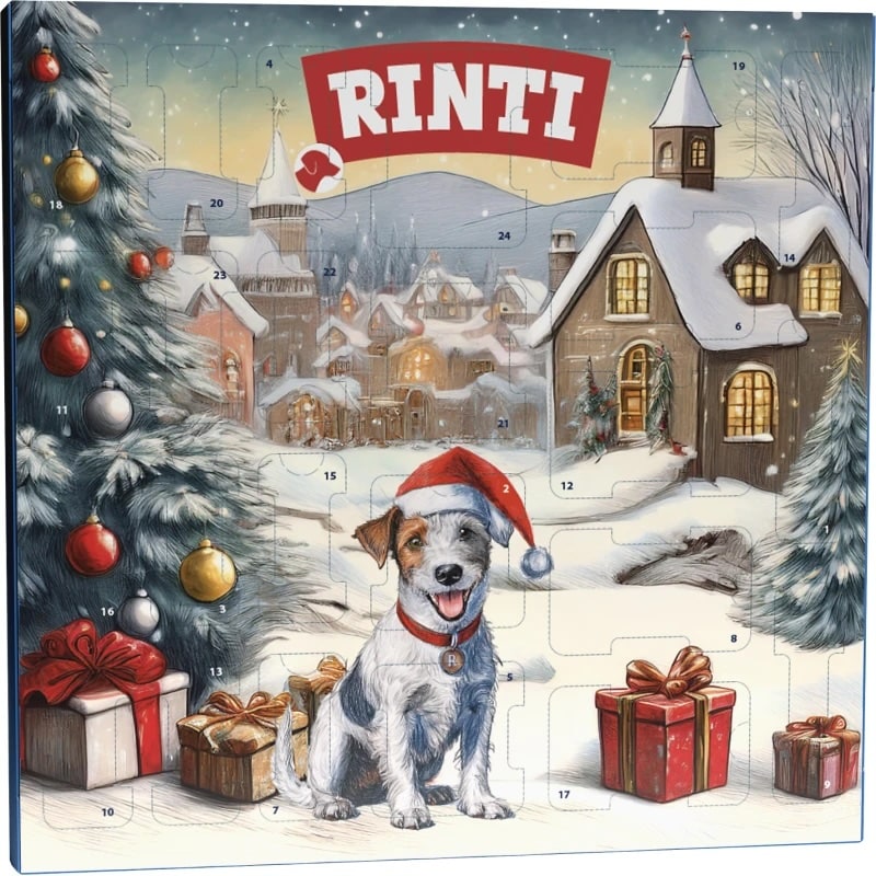 RINTI Chicko Adventskalender 2025