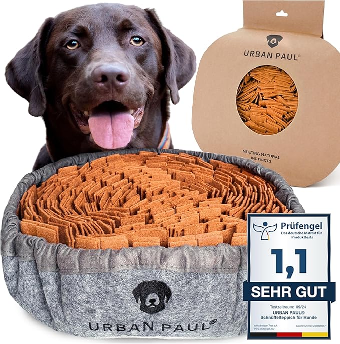 Schn&uuml;ffelteppich f&uuml;r Hunde