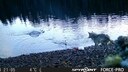Screenshot aus dem Video einer Studie, das zeigt, wie eine Wölfin, die eine Krabbenfalle gezielt aus dem Wasser zieht. Forscher deuten das als ersten Hinweis für Werkzeuggebrauch beim Wolf.
