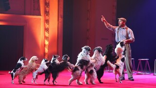 Wolfgang Lauenburger Dog -Act bei der Verleihung des 24. > B.Z.-Kulturpreis < in der Komischen Oper in Berlin