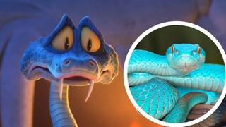 Collage aus Gary De'Snake aus Disneys Zoomania 2 und Indonesian Pit Viper (Trimeresurus insularis)