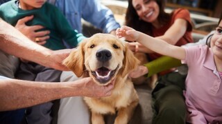 Ein Multi-Generationen-Haushalt streichelt einen glücklichen Hund