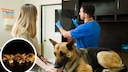 Schäferhund beim Tierarzt mit Röntgenbild