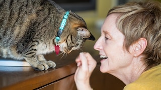 Frau miaut ihre Katze an