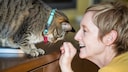 Frau miaut ihre Katze an