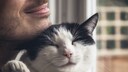 Katze kuschelt mit Halter und schnurrt