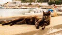 Streuner Katze auf der griechischen Insel Syros