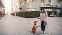 Frau &uuml;bt mit ihrem Hund Sitz in einer Fu&szlig;g&auml;ngerzone