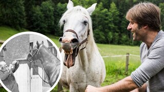 Pferd und Mann